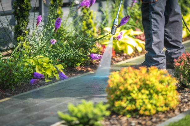 Reliable Browns Lake, WI Pressure Washing Services Solutions