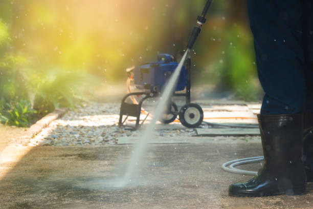Best Roof Cleaning and Mildew Removal in Browns Lake, WI